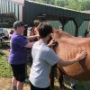 2022 Horseback Riding